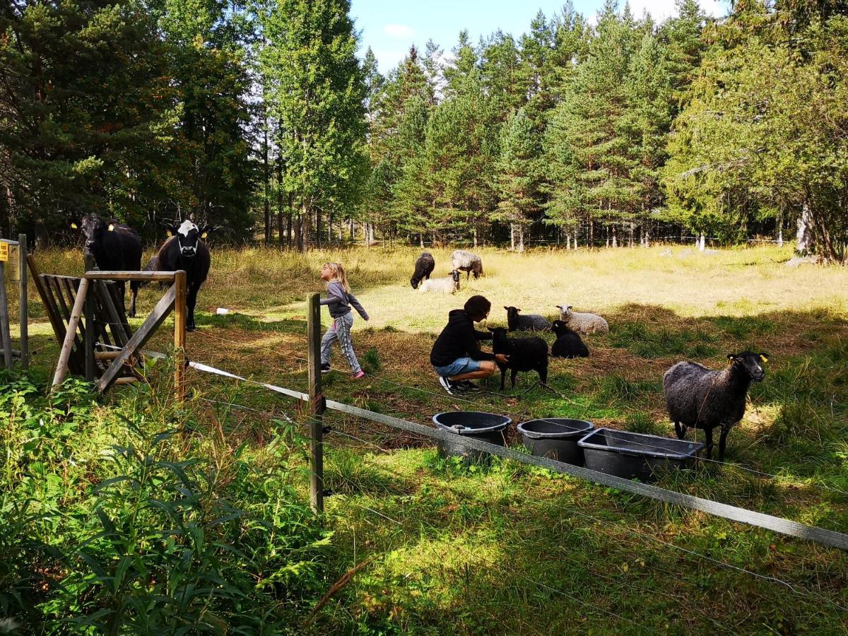 Trysunda Vandrarhem & Skaergardscafe Екстер'єр фото